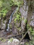 Beaver Falls descends into a sinkhole before disappearing into Prince of Wales Island's cave-dotted karst landscape.